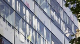 Institut Imagine