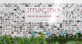 Imagine Atrium