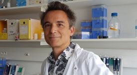 Julien Zuber