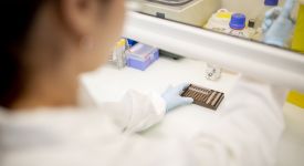 Visuel laboratoire