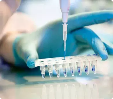 Laboratoire